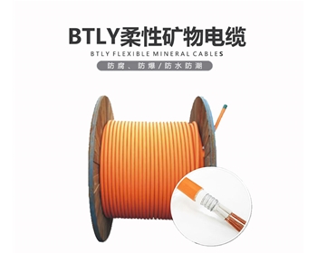 BTLY 矿物电缆 双菱电缆